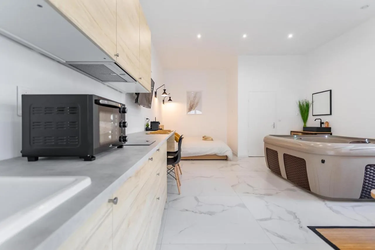 Appartement Loft Love room Jacuzzi Privatif Marseille France